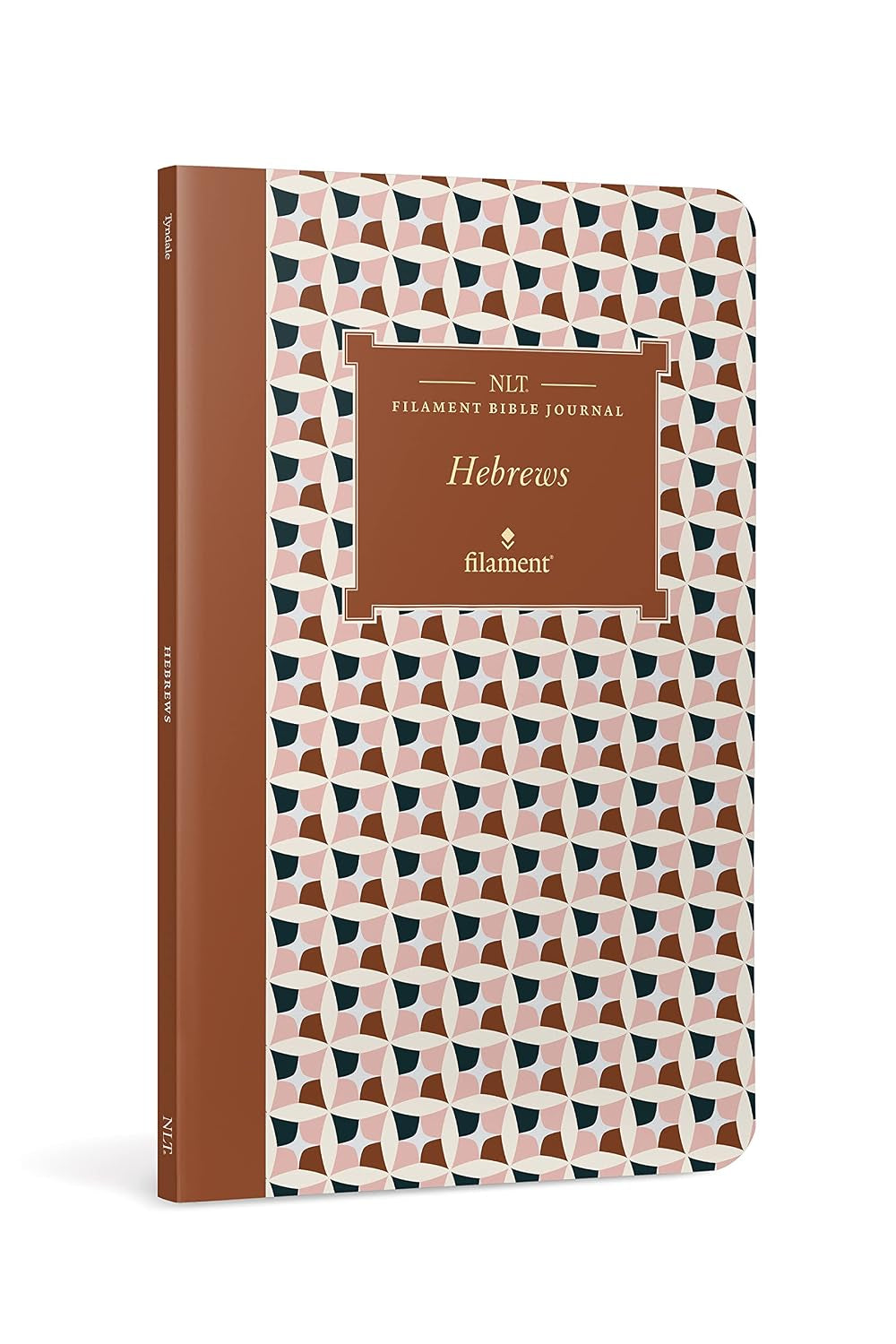 NLT Filament Bible Journal: Hebrews (Softcover)